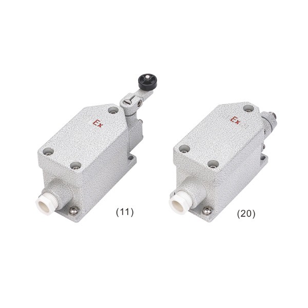 8077/1系列防爆行程開關(guān)