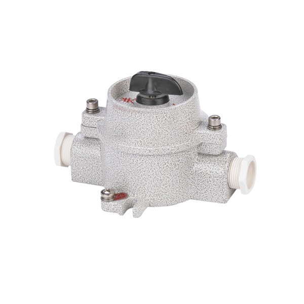 BZM-DIPlO系列粉塵防爆照明開關(guān)